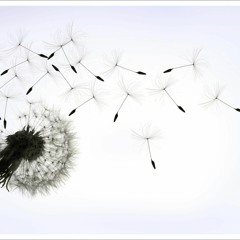 Love Connects Us All