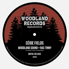 WRD005 - WOODLAND SOUND ft RAS TINNY - Céide Fields *SAMPLE*