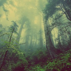 PoopyPlaylist - August 2018