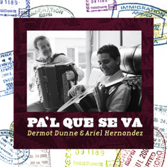 Gato Negro gato blanco