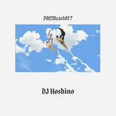PALMcast017 - DJ Hoshino