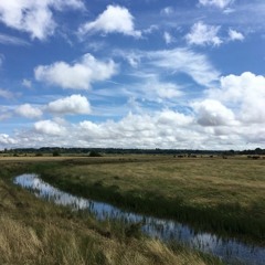 River Rother, July 2018