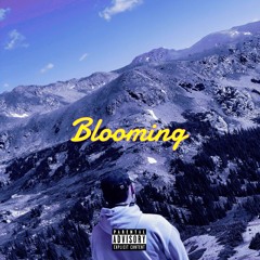 Tinted Skies (Ft. Uncle Jerry)