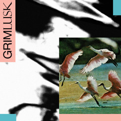 Grim Lusk - Yes He Did