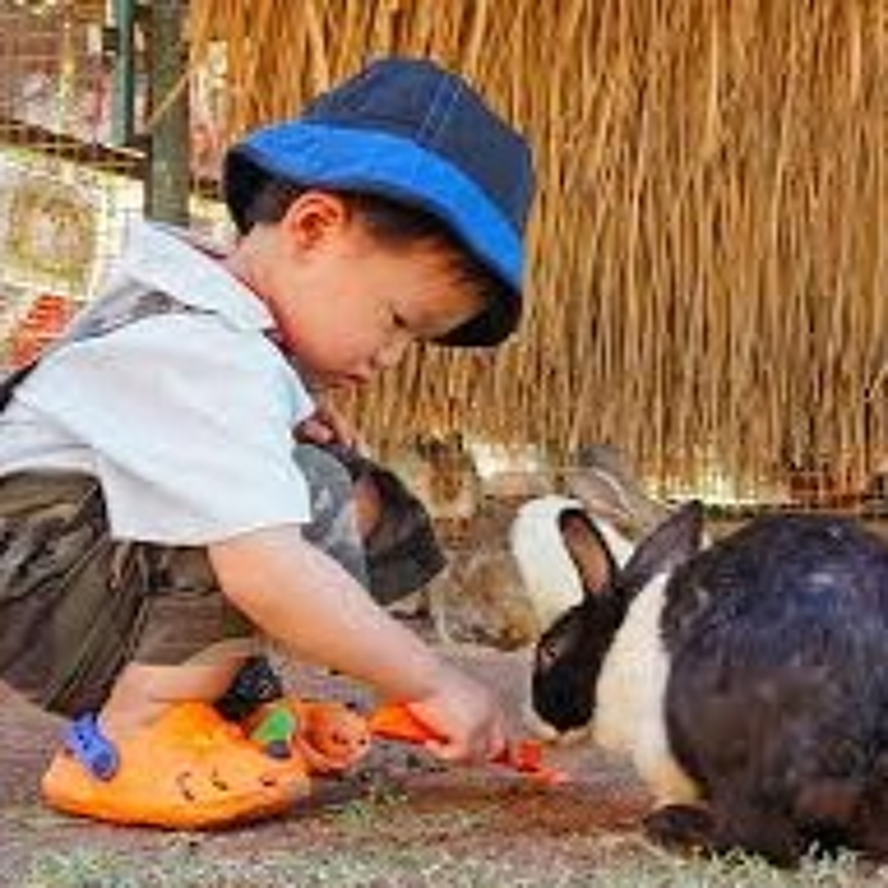 Busy City To Farm ~ The Adventures of Super Stretch kid’s yoga class ages 3yrs to 6yrs