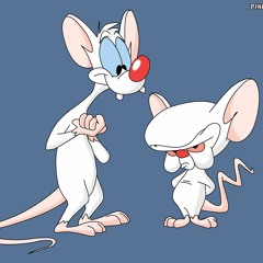 Pinky And The Brain