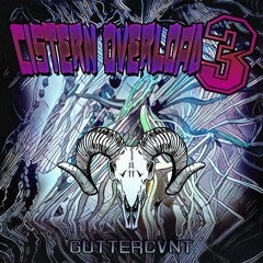 Furryz Fornicate & DZKYIN - New World Extratone [GVNT008] Cistern Overload 3 // Track 17