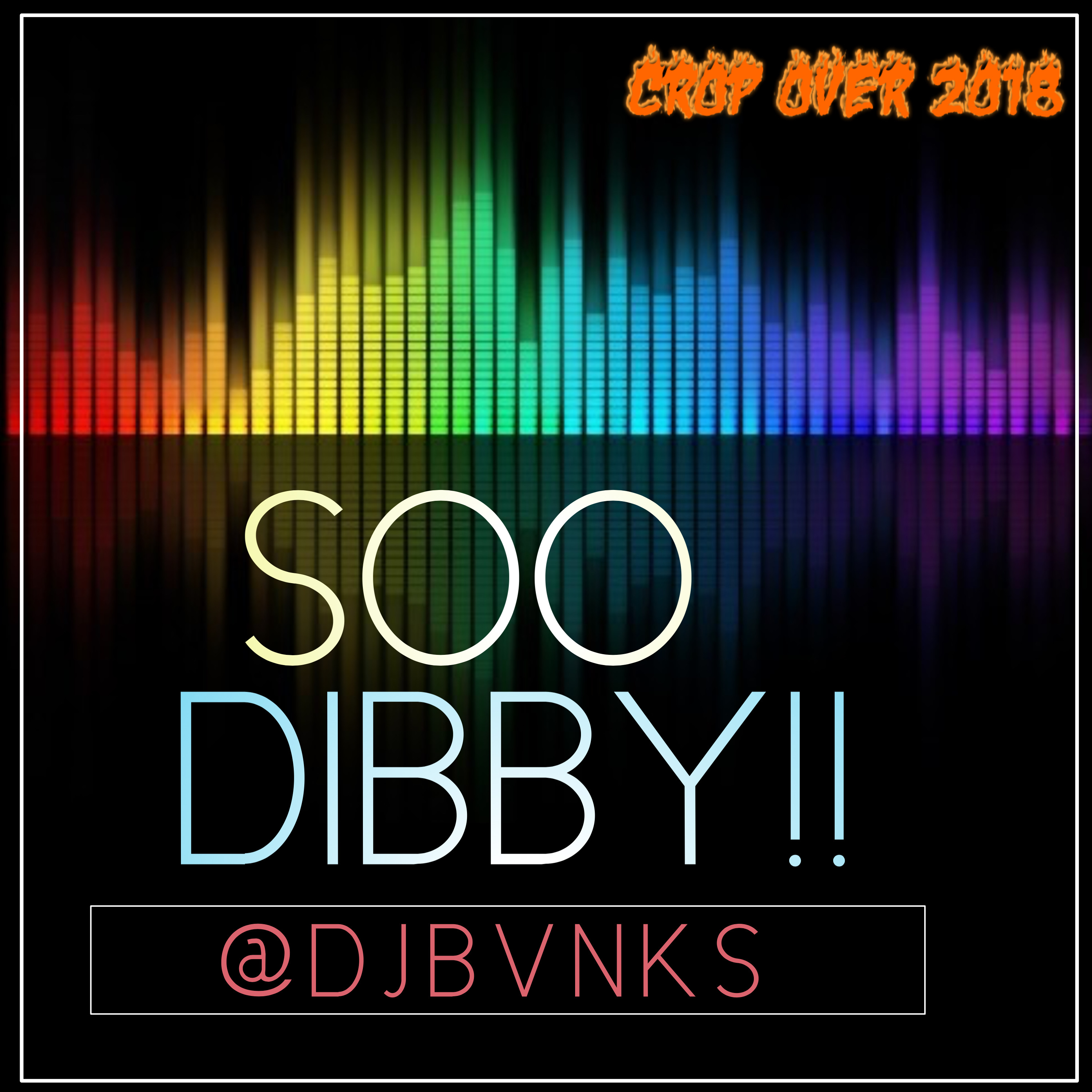 DJ BVNKS