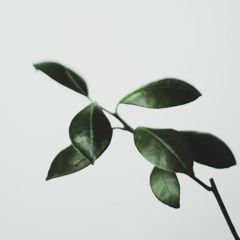 daniel caesar - best part (charme edit)