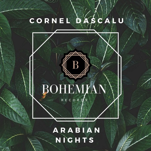 Download Cornel Dascalu - Arabian Nights (Original Mix)