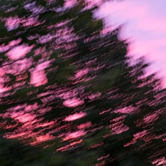 Floating living room is sinking in to the sea of life (live improvisation with the cats 01082018)