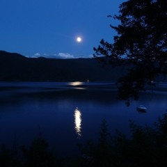 月夜の通り道