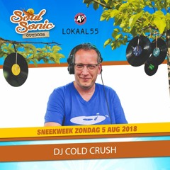 Soul Sonic Outdoor 2018 Summer Mix - DJ Cold Crush