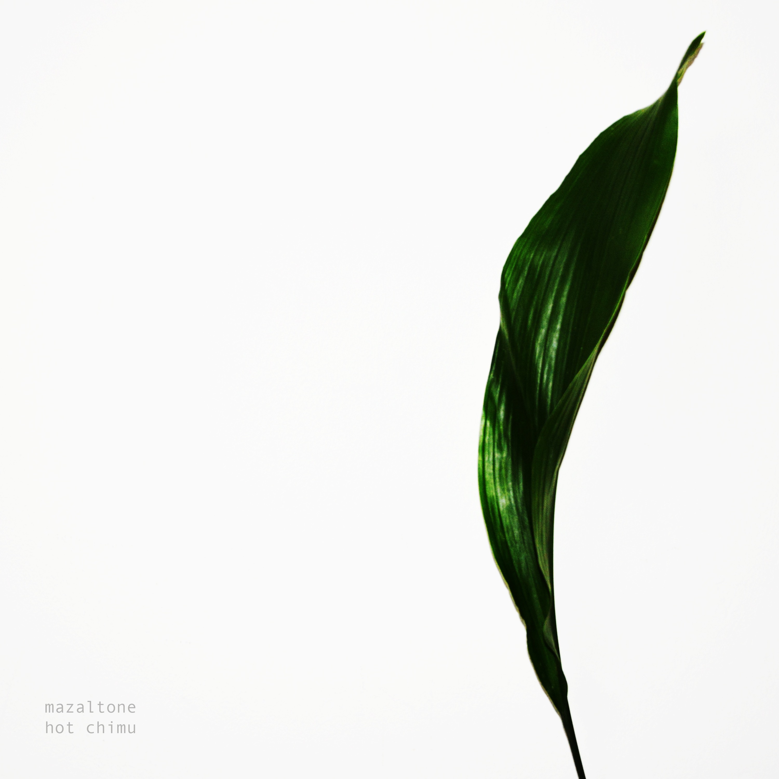 Mazaltone - Hot Chimu [KOXI036] episode artwork