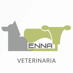 Spot Veterinaria Enna