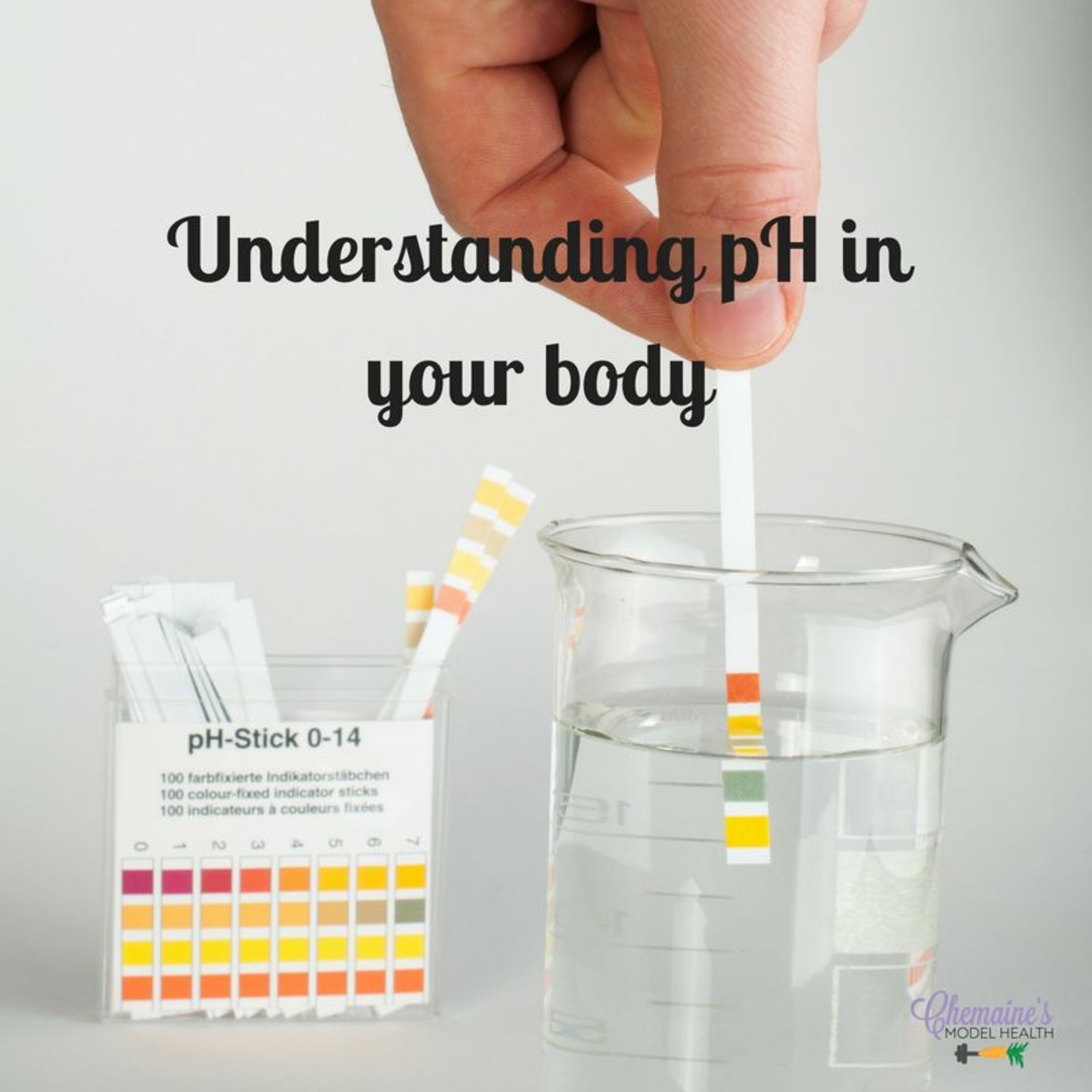Find your model health!