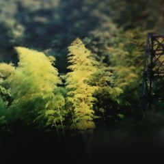 next to you w/ derrick boo