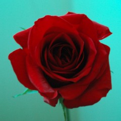 Zone (Prod. Classixs Beats)