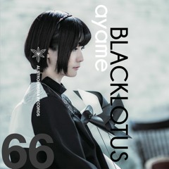 ARCD0066 / ayame - BLACKLOTUS