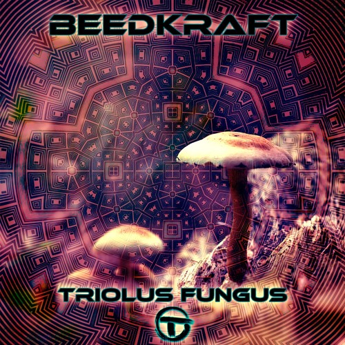 BeedKraft - 'Baloo on Hemp' Full Track. Out now 🕉Psytrance from🇨🇭Alps