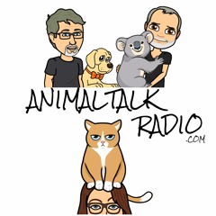 Animal Talk - Living in a Box - Episode 30