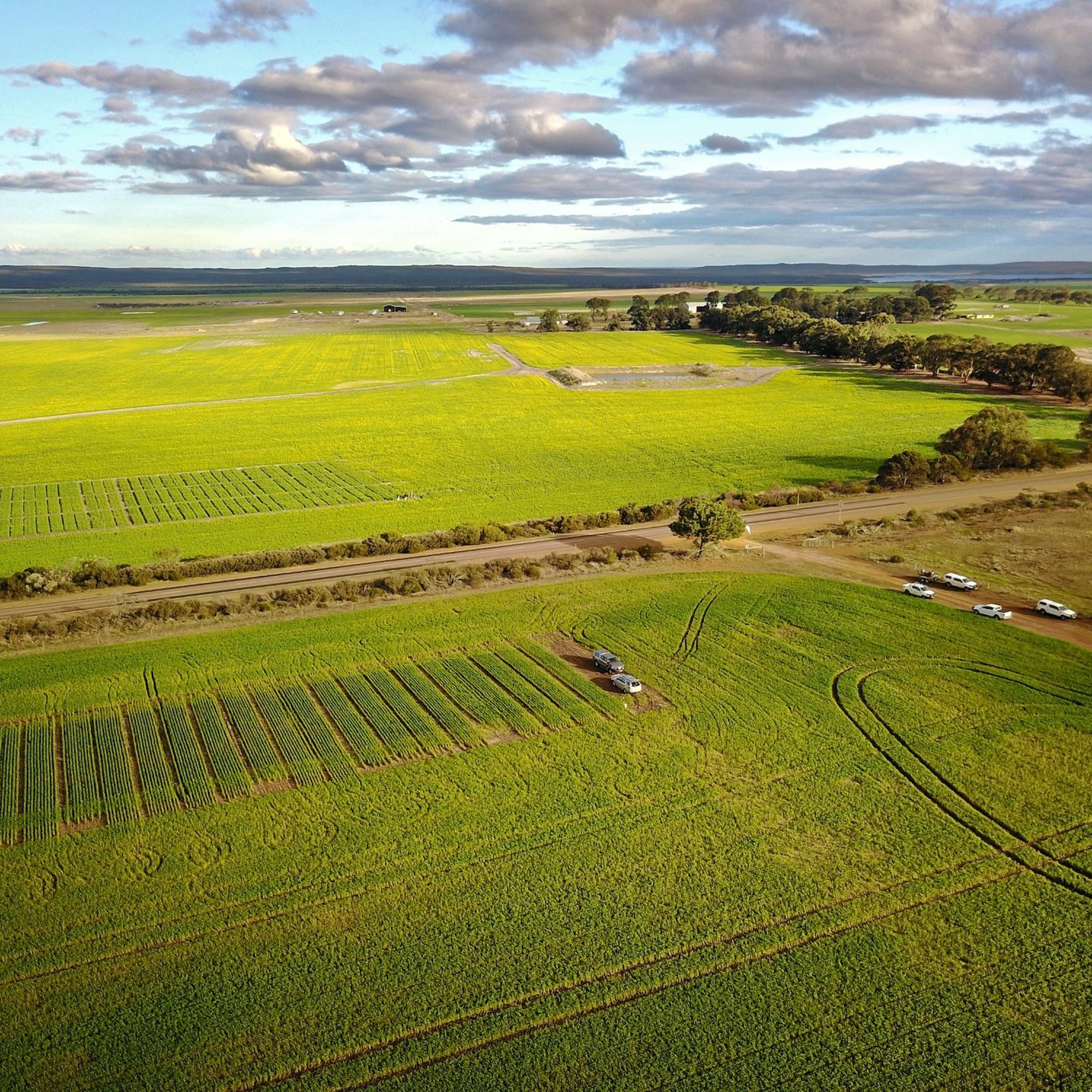 Bayer Crop Science Australia