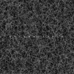 Unchangeable (Prod. CT)