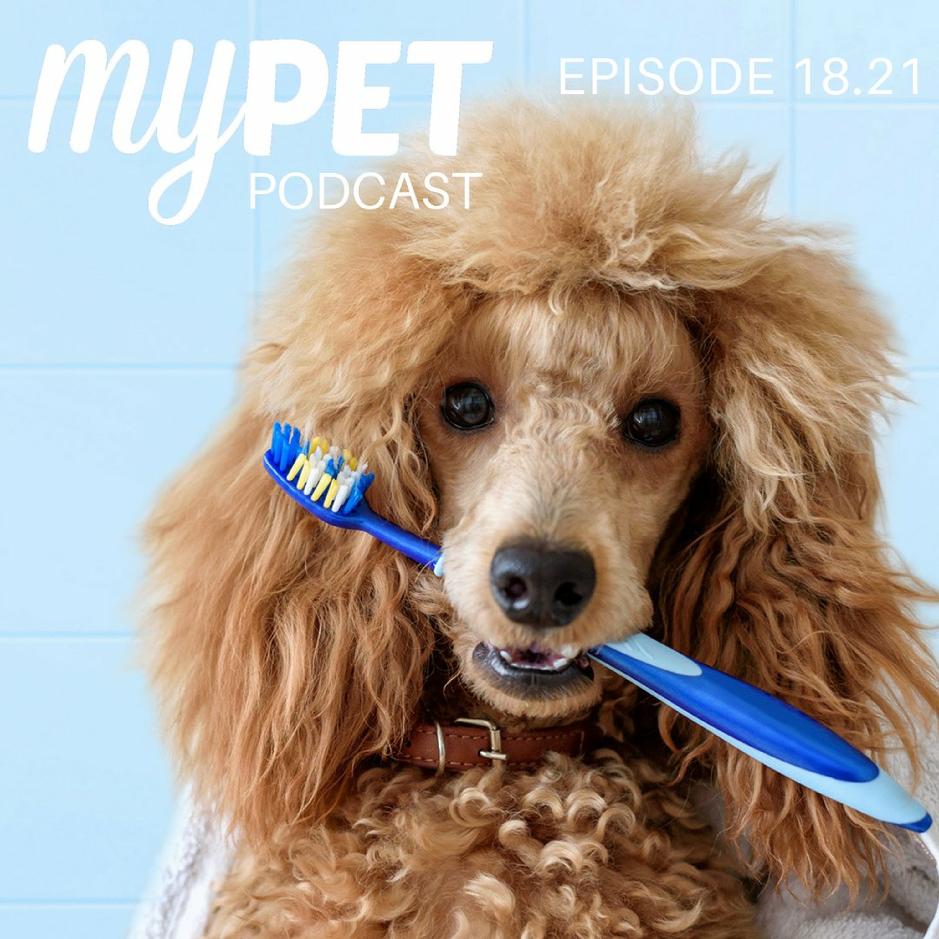 The Importance Of Dental Health: It's Not Just Stinky Breath! episode artwork