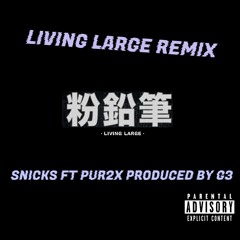 Snicks x Pur2x Living Large Remix