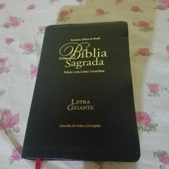 TORMENTAS DA VIDA - ANA BEATRIZ, ANA HELOÍSA E JULIANE