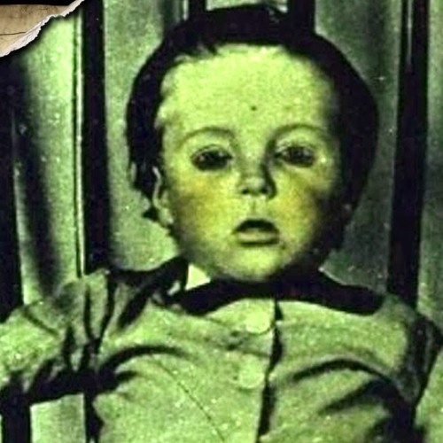 Stream Dead Bodies by Mitch Feck | Listen online for free on SoundCloud