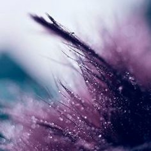 thomas whirlwind track