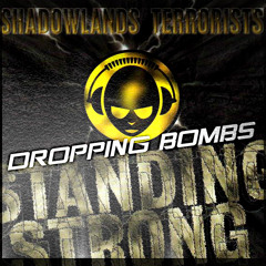 Shadowlands Terrorists - Dropping Bombs