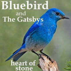 Heart of Stone - Bluebird and The Gatsbys