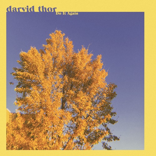 Darvid Thor - Do It Again