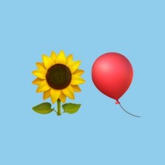 🎈🌻