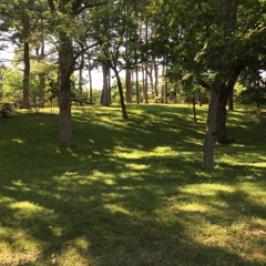 'Footpaths' Mix