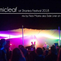 Cosmicleaf at Shankra 2018 - Mix by Side Liner