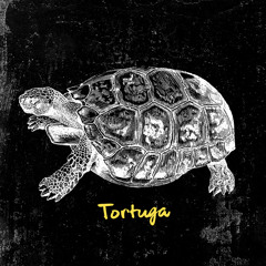 John Mörk - Tortuga Mixtape