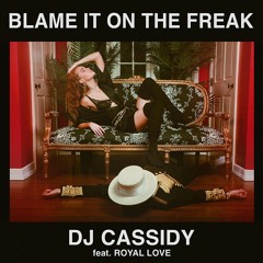 Blame It On The Freak - DJ Cassidy Feat. Royal Love