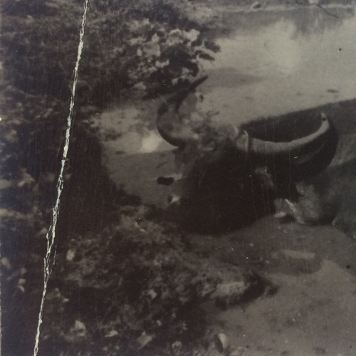 Devils Point