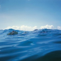 Deep Blue Sea - JULY 2018 // Dark Electronics - Techno - Industrial - EBM - Ambient