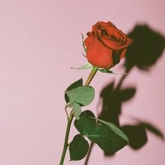 The Rose - Bette Midler (Live Cover by Mariya Stokes)