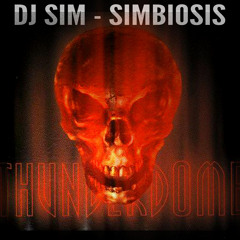 Dj Sim - Simbiosis