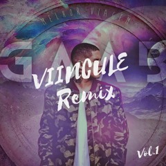 Gaab - Tô Brisando Em Você (VIINCULE Remix)