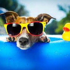 Mikey Cee Bounce Master Summer Time August Mix