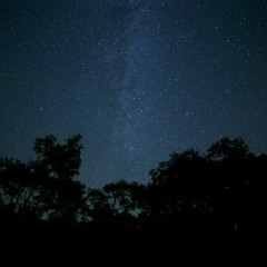 Darkness Tastes So Sweet