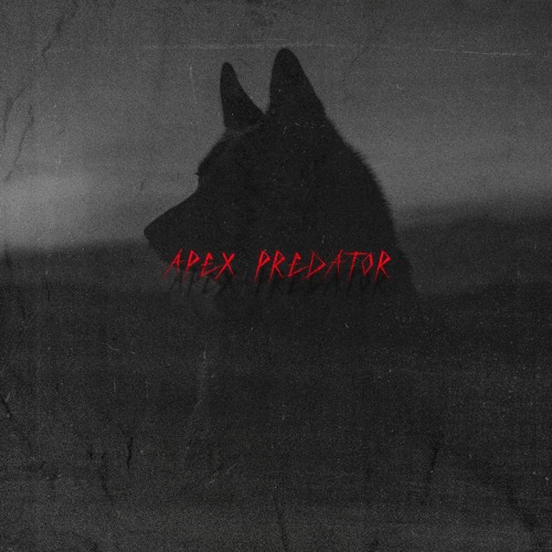 apex predator w/KillStacy (prod.by eggy)