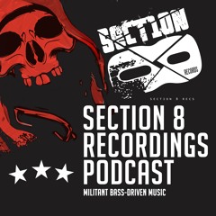 Pareidolia - Section 8 Podcast #13 [SECTION8POD13]