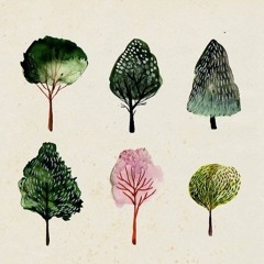 بودكاست شجرة | الحلقة 01 | حصة تعبير